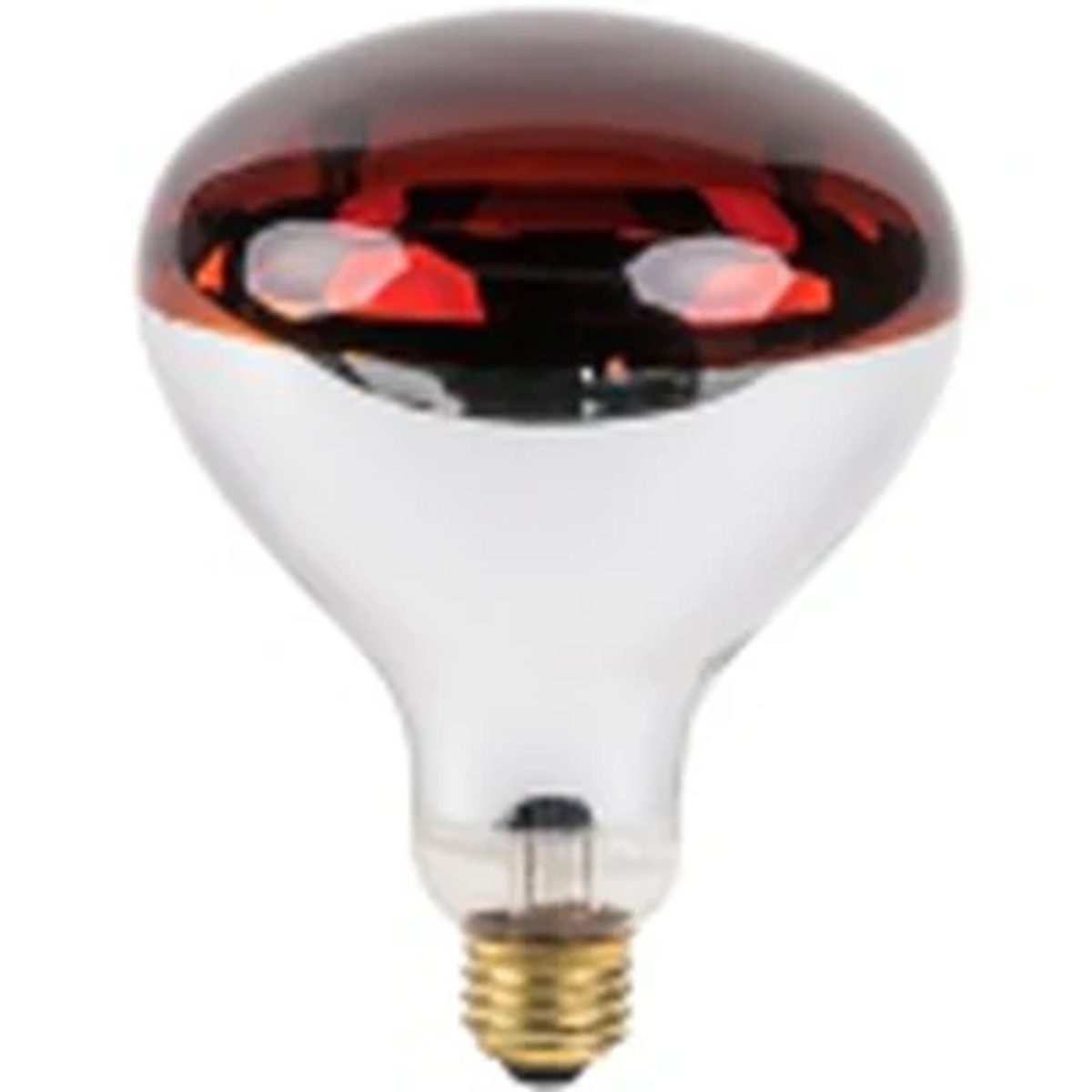 Hanging Heat Lamp Food Warmer — 2 sizes