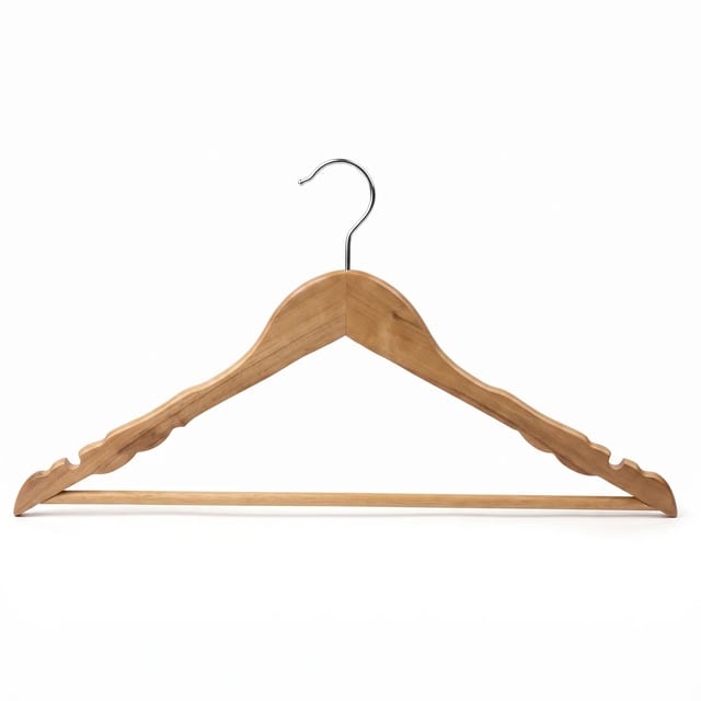 Coat Hanger with Rod
